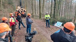 Holz von Schaffhausen, für Schaffhausen