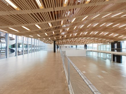 Arch Tech Lab ETH, Zürich - Innenansicht Halle mit wellenförmigem parametrischem Holzdach