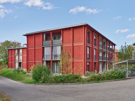 Hirtenweg, Riehen - Aussenansicht der gesamten Anlage mit drei Wohngebäuden all in leuchtendem rot in grüner, blühender Parkanlage  Hirtenweg, Riehen - Aussenansicht der gesamten Anlage mit drei Wohngebäuden all in leuchtendem rot in grüner, blühender Parkanlage