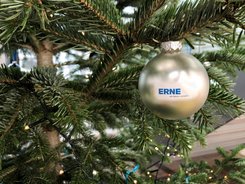 Frohe Weihnachten und einen schwungvollen Start ins neue Jahr